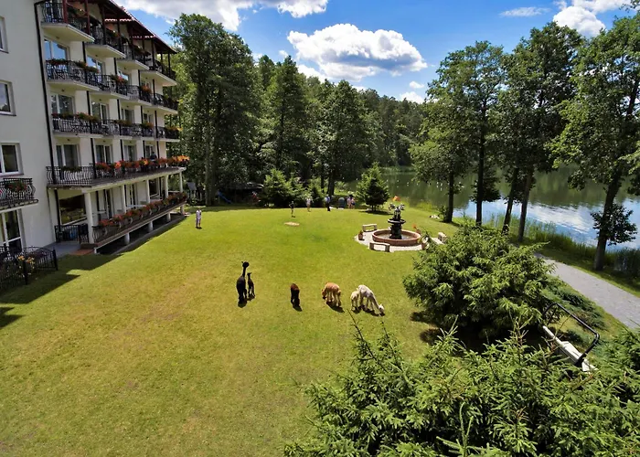 Hotel Nidzki